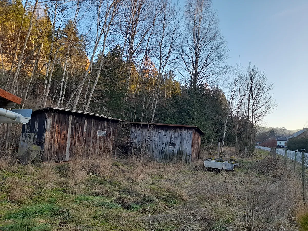 Fotka 10 z 11
