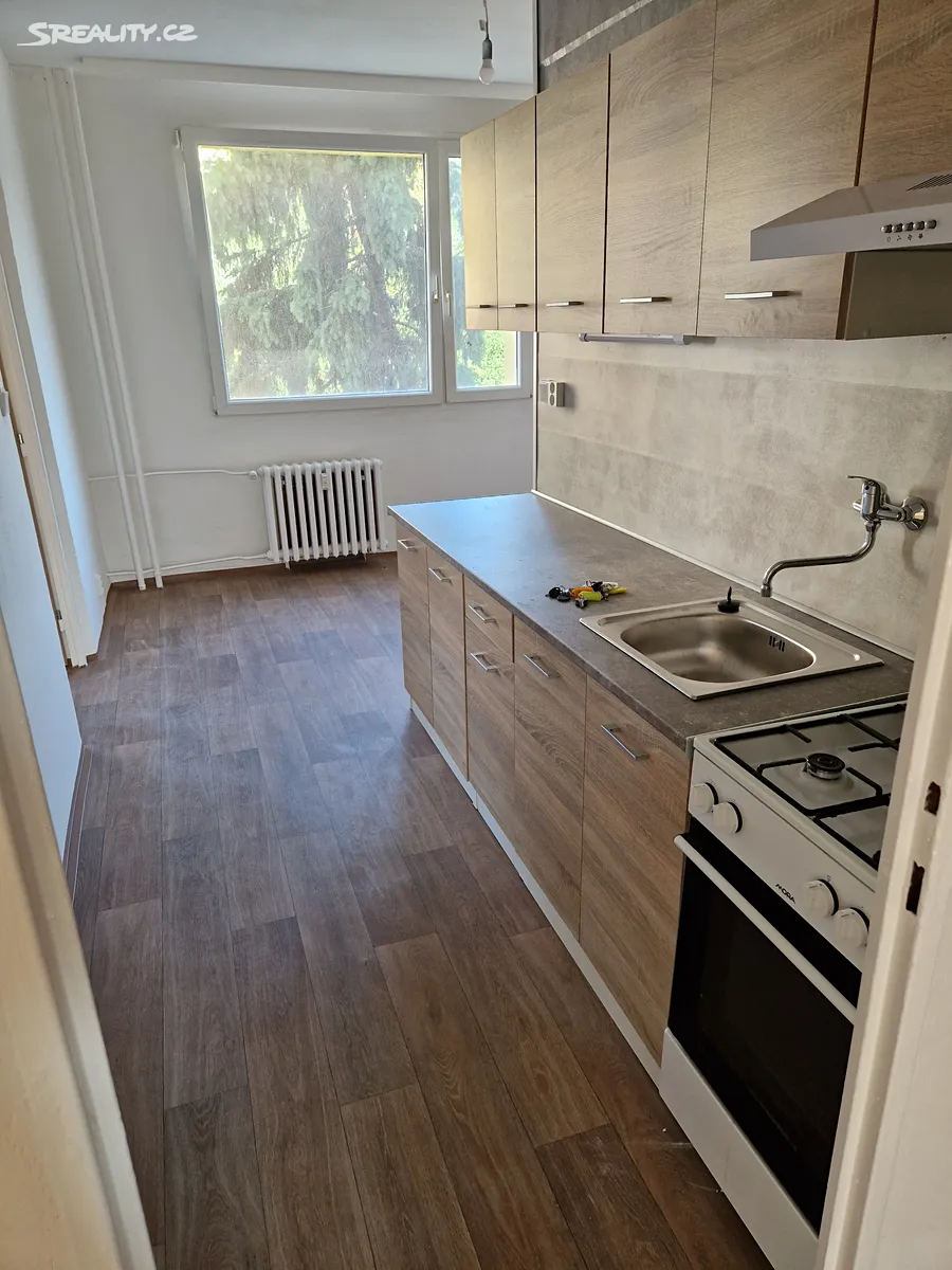 Pronájem bytu 2+1 64 m², Chomutov