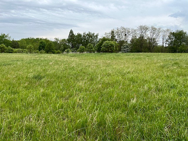 Prodej pozemku, 39 778 m² (3 z 4)