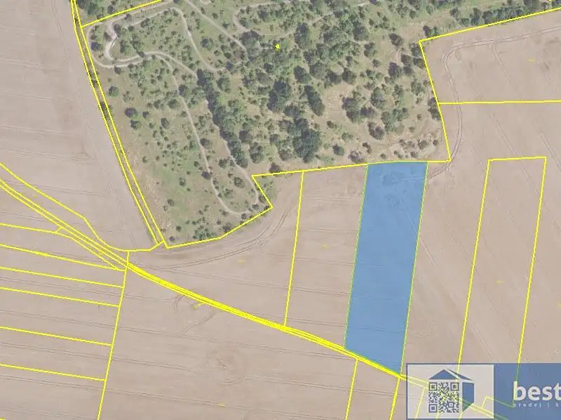 Prodej pole 6021 m², Velvary – náhled fotky 3