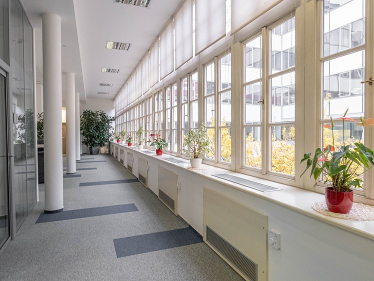 Gewerbefläche zur Miete, 300 m² (7 von 31)