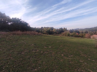 Grundstück zur Miete, 10.000 m² (2 von 3)