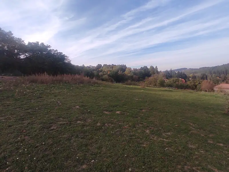 Pronájem louky 10000 m², Mnichovice – náhled fotky 2