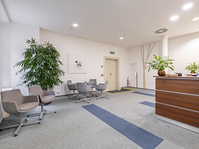 Pronájem kanceláře 300 m² — photo 4
