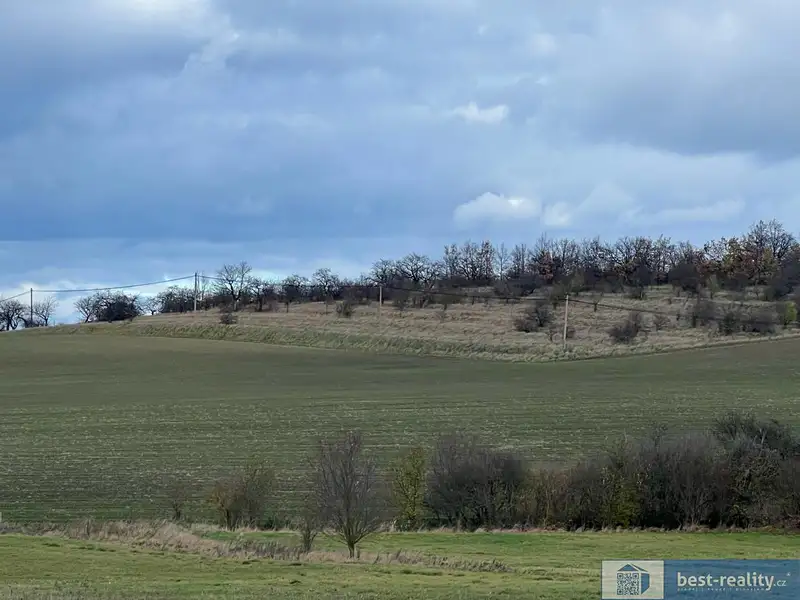 Prodej pole 6021 m², Velvary – náhled fotky 1