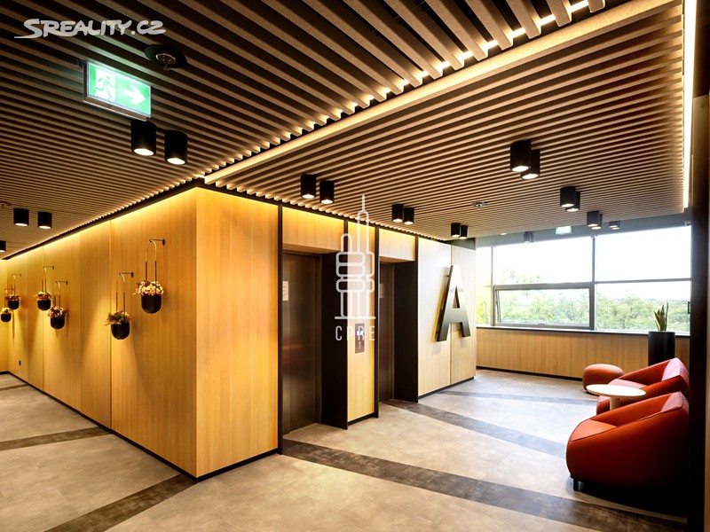 Pronájem kanceláře 387 m² – další