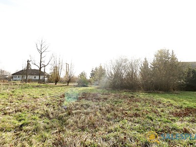 Prodej  stavebního pozemku 14 748 m² — photo 5