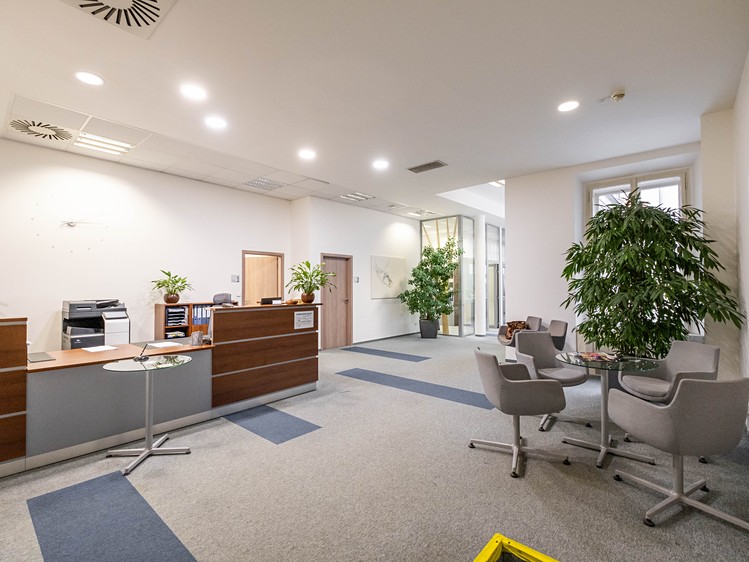 Gewerbefläche zur Miete, 300 m² (1 von 31)