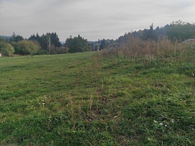 Pronájem louky 10000 m²