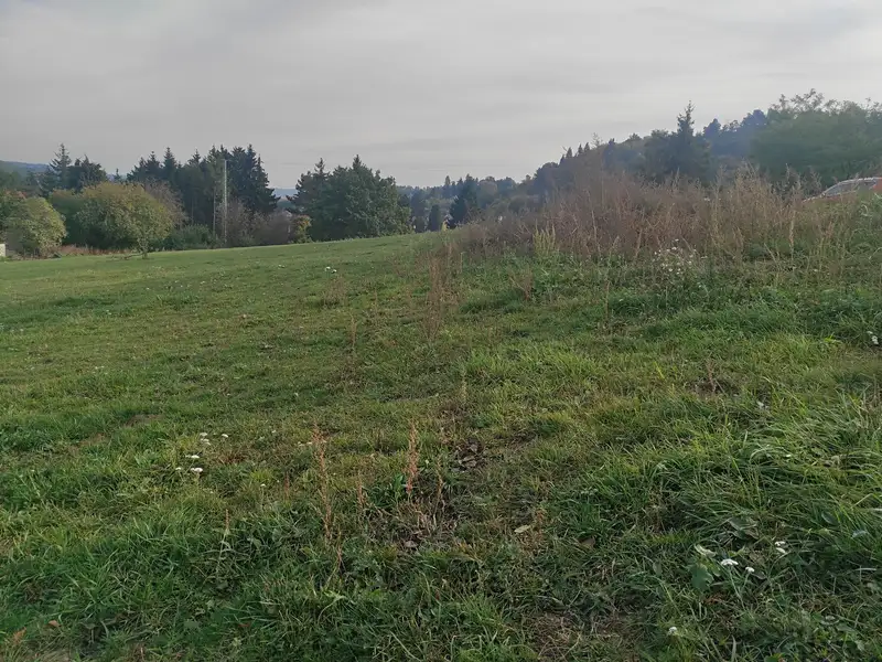 Pronájem louky 10000 m², Mnichovice – náhled fotky 1