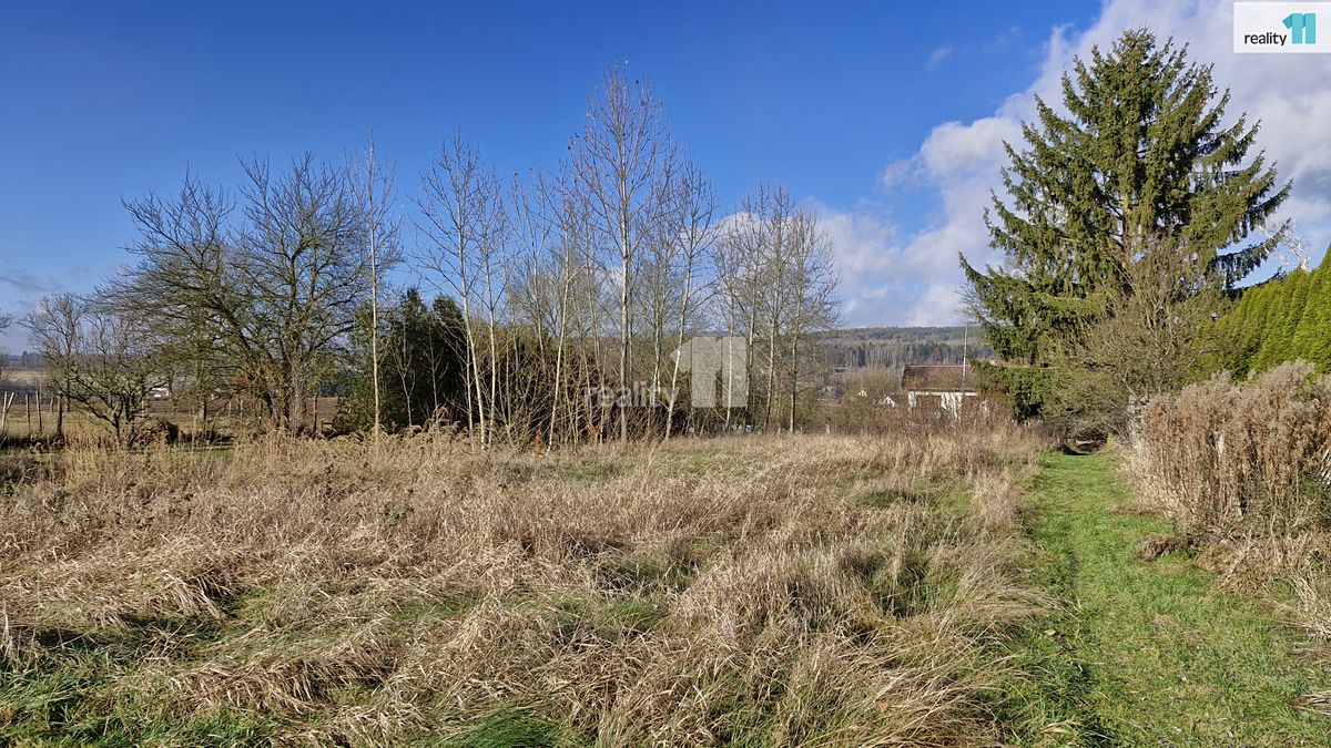 Prodej louky 1669 m²