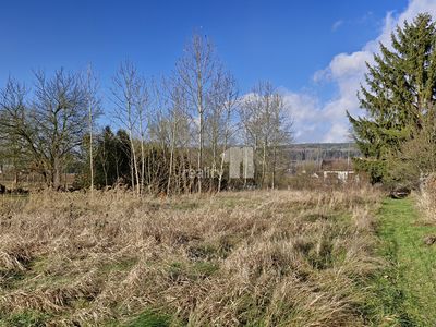 Prodej louky 1669 m²