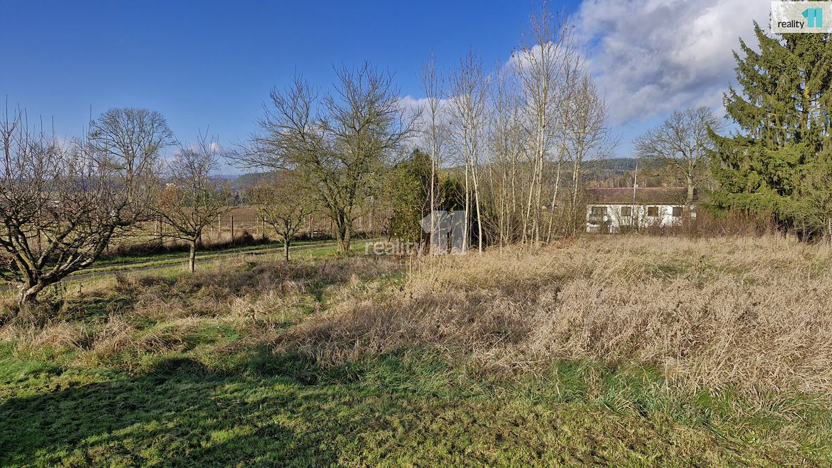 Prodej louky 1669 m² – fotografie 2
