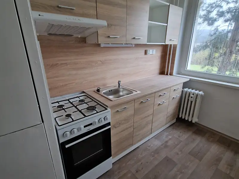 Pronájem bytu 3+1 71 m², Ústí nad Labem – náhled fotky 1