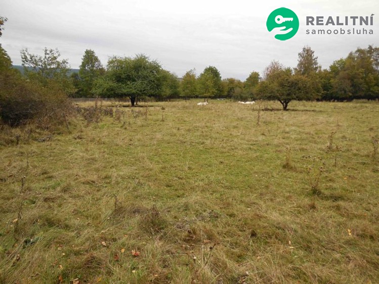 Grundstück zum Kauf, 1.000 m² (3 von 4)