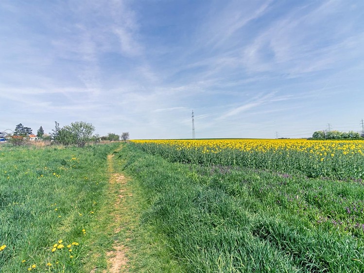 Prodej pozemku, 7 355 m² (5 z 15)