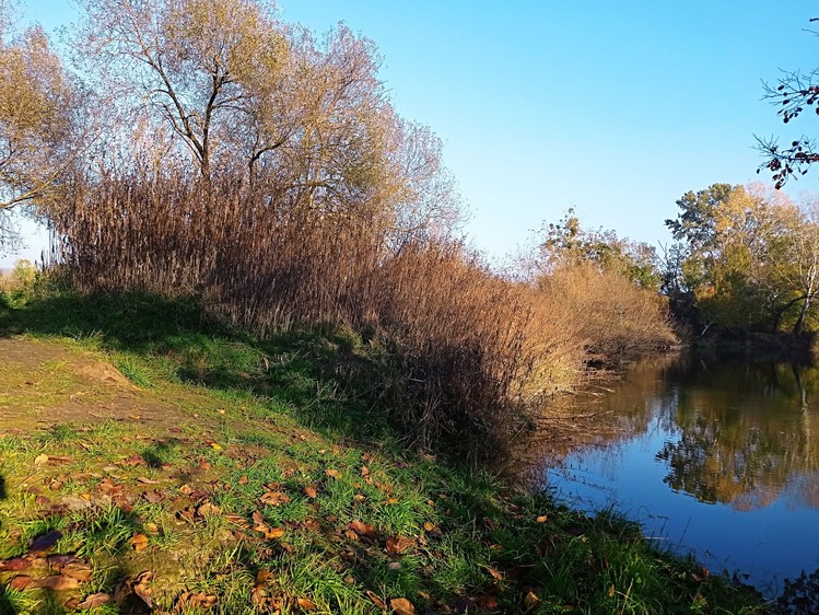 Ostatní