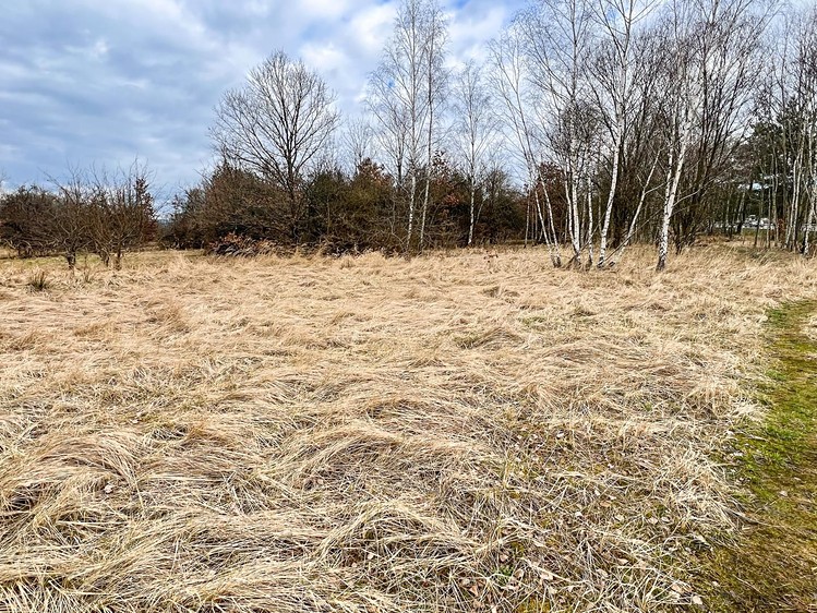 Ділянка на продаж, 11 759 м² (11 з 21)