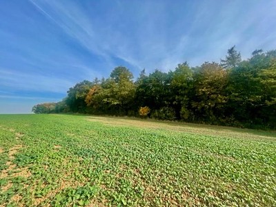 Prodej  pole 24 066 m²