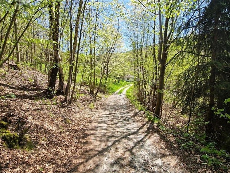 Grundstück zum Kauf, 1.417 m² (11 von 16)