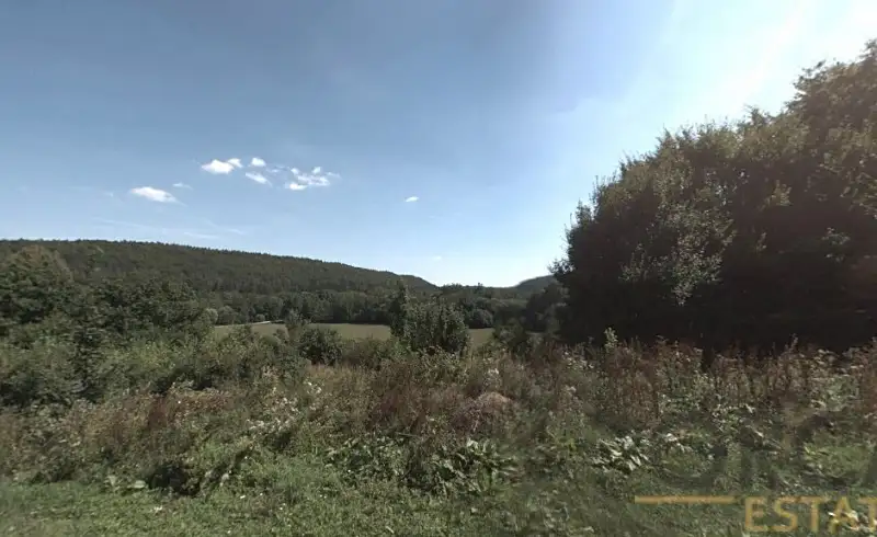 Prodej louky 6578 m², Luže – náhled fotky 3
