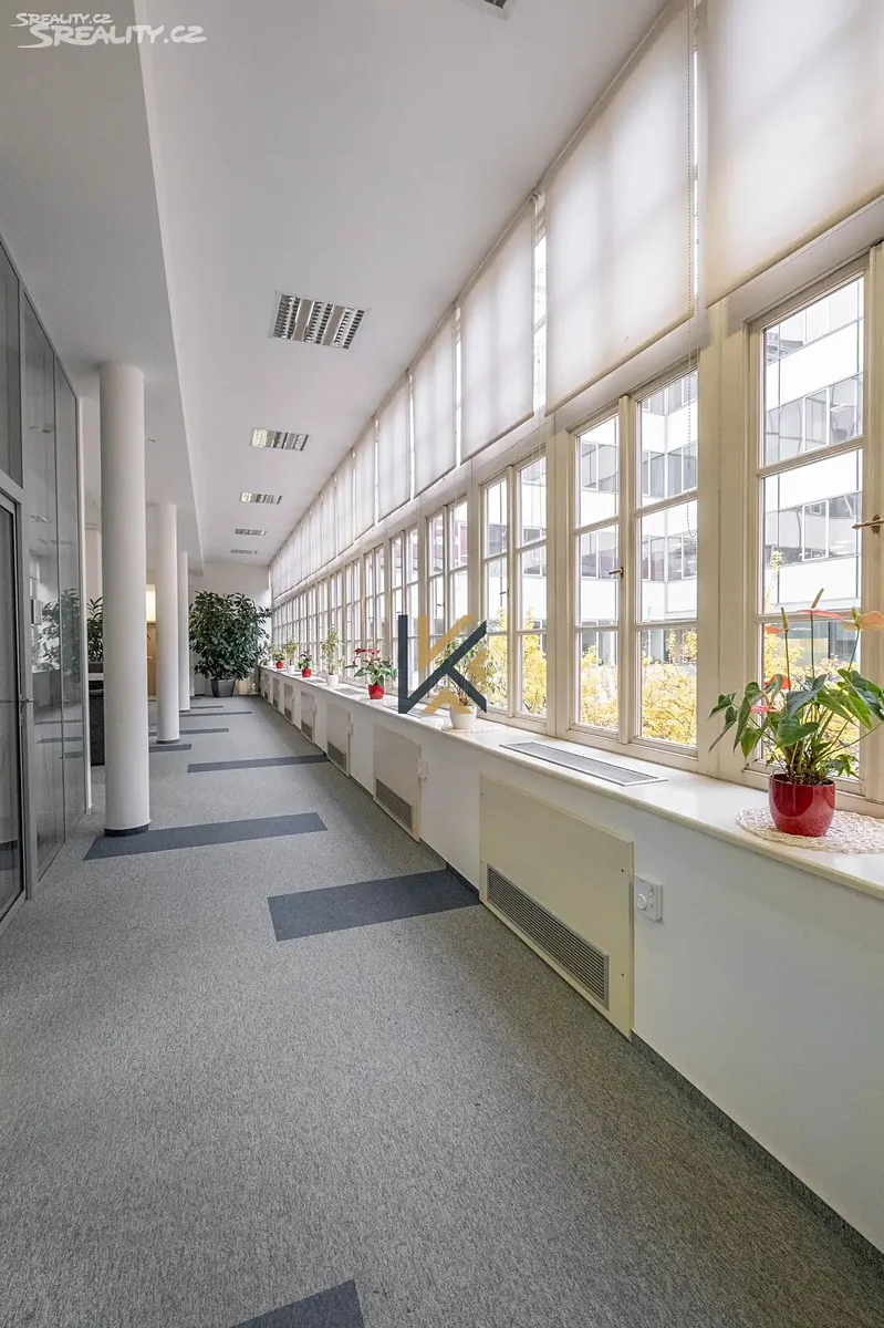 Pronájem kanceláře 300 m² – pohled 6