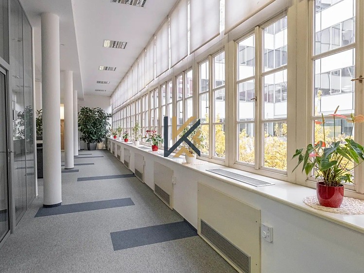 Комерційне приміщення в оренду, 300 м² (6 з 6)