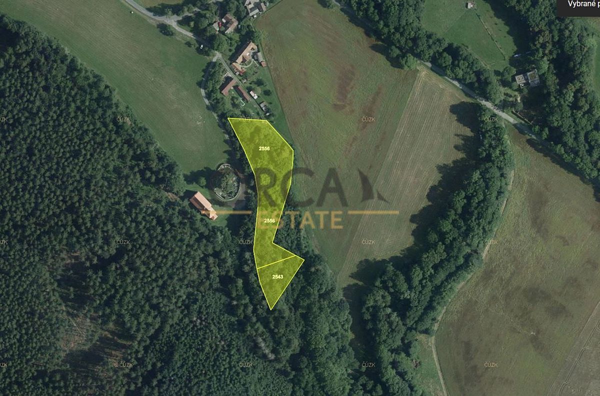 Prodej louky 6578 m², Luže – fotka 1 z 3