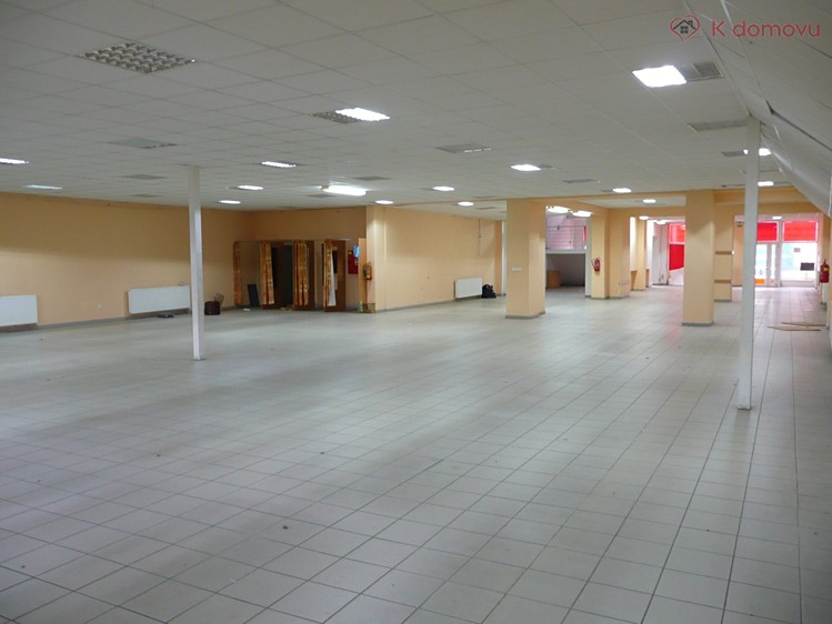 Gewerbefläche zum Kauf, 980 m² (9 von 21)