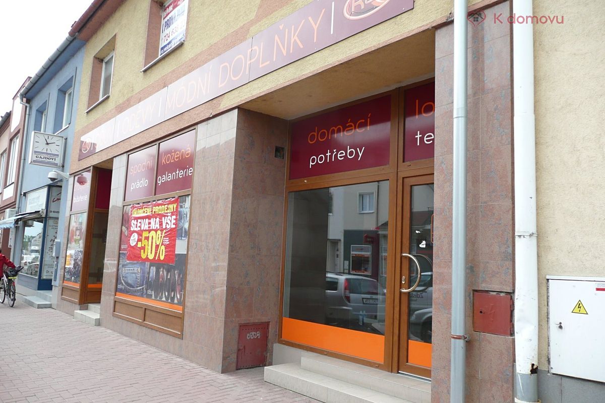 Prodej obchodního prostoru 980 m² – fotografie 4