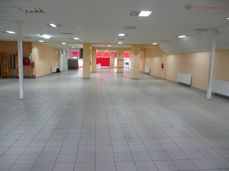 Gewerbefläche zum Kauf, 980 m² (8 von 21)