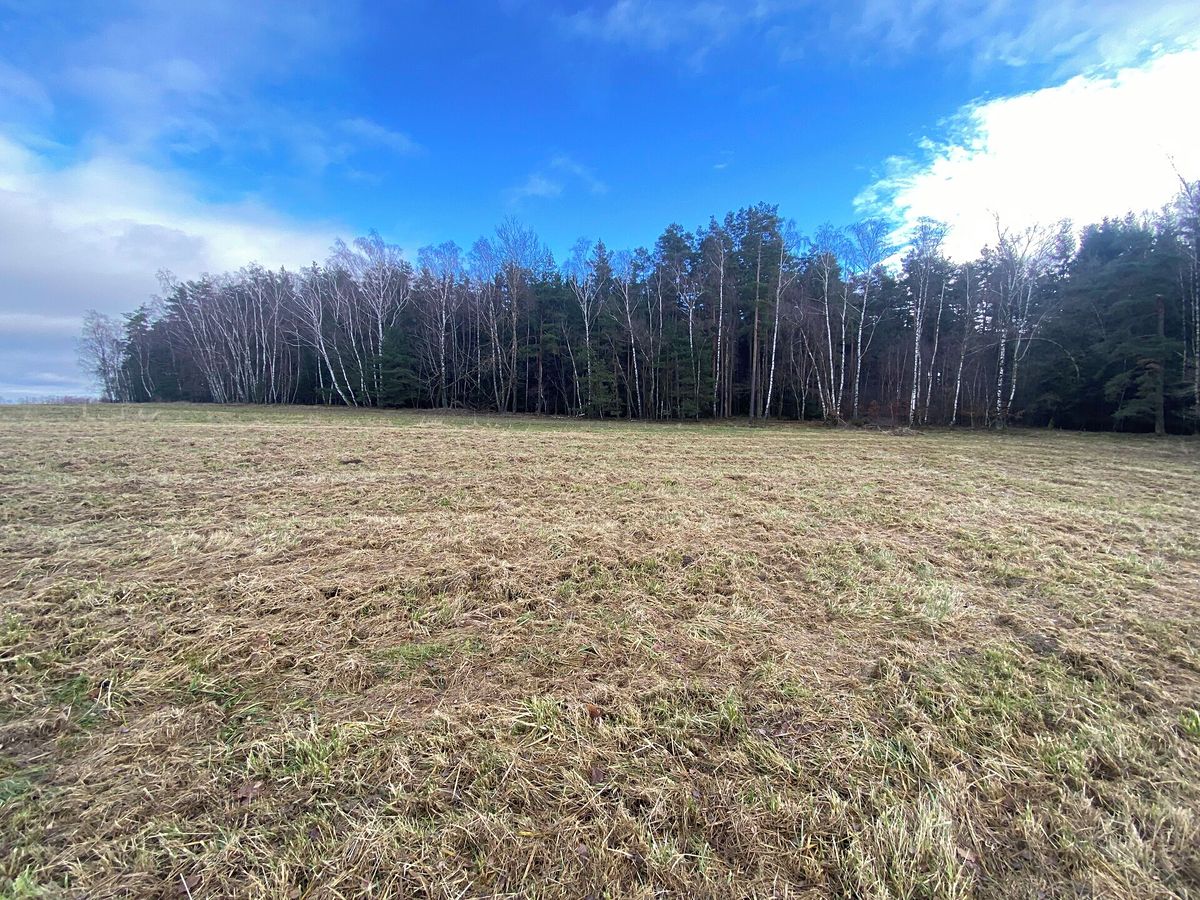 Prodej pozemku 11526 m² – fotografie 3
