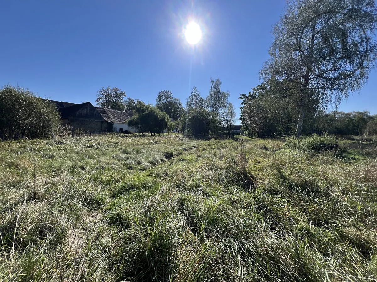 Fotka 10 z 19