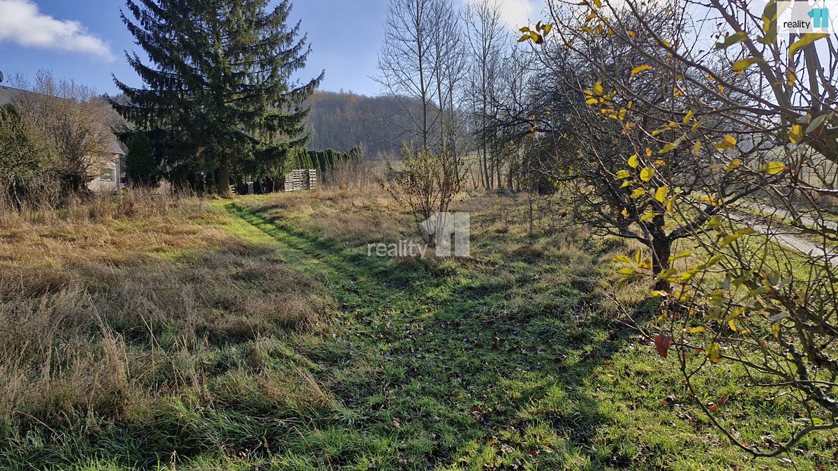Prodej louky 1669 m² – fotografie 3