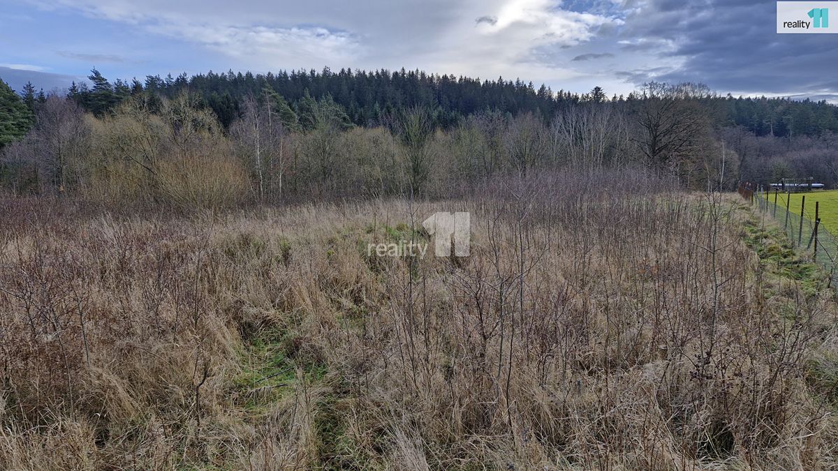 Prodej stavebního pozemku 2983 m², Kynšperk nad Ohří – fotka 1 z 3