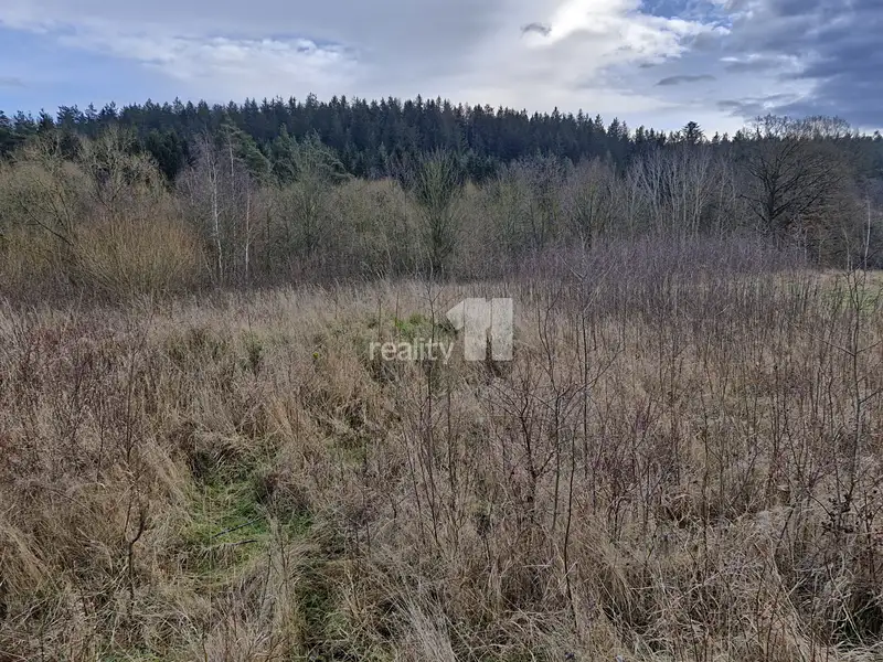 Prodej stavebního pozemku 2983 m², Kynšperk nad Ohří – náhled fotky 1