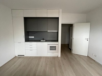 Pronájem bytu 1+kk 30 m² (Jednopodlažní)