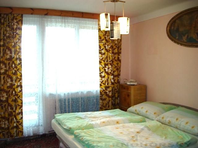 Prodej rodinného domu 400 m², pozemek 860 m² – fotografie 4