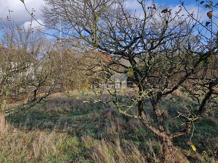 Grundstück zum Kauf, 1.669 m² (9 von 15)