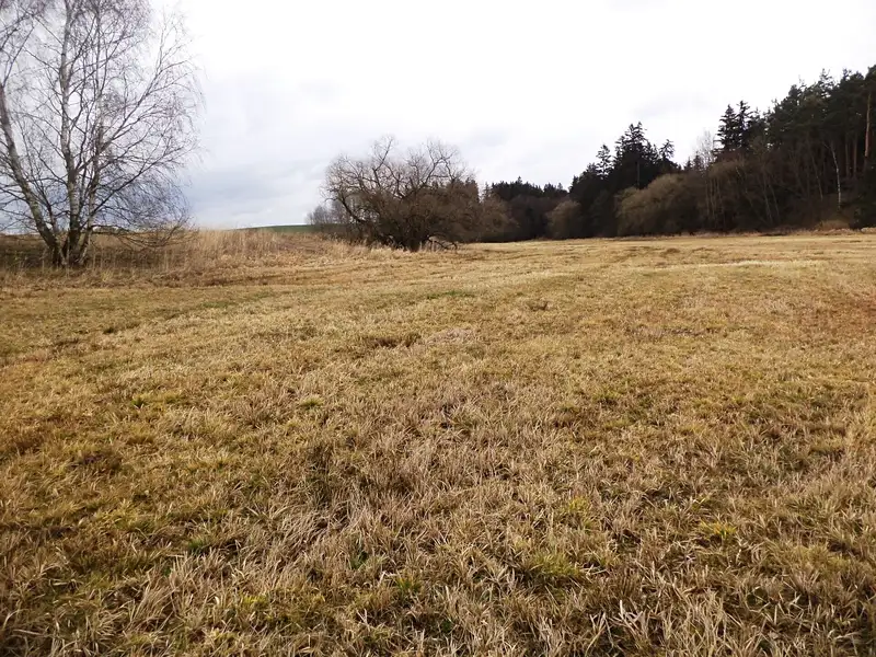 Prodej pozemku 19262 m², Peč – náhled fotky 1