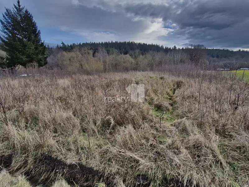Prodej stavebního pozemku 2983 m², Kynšperk nad Ohří – náhled fotky 2