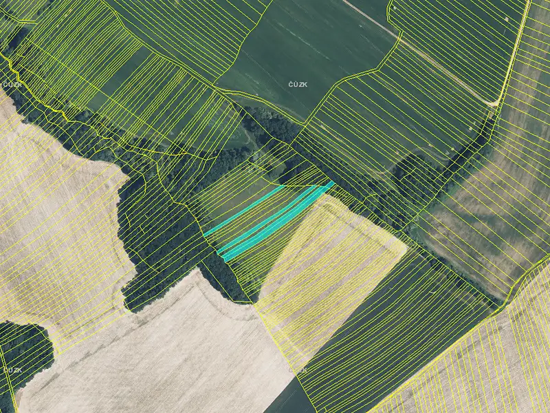 Prodej pole 4928 m², Mistřice – náhled fotky 2