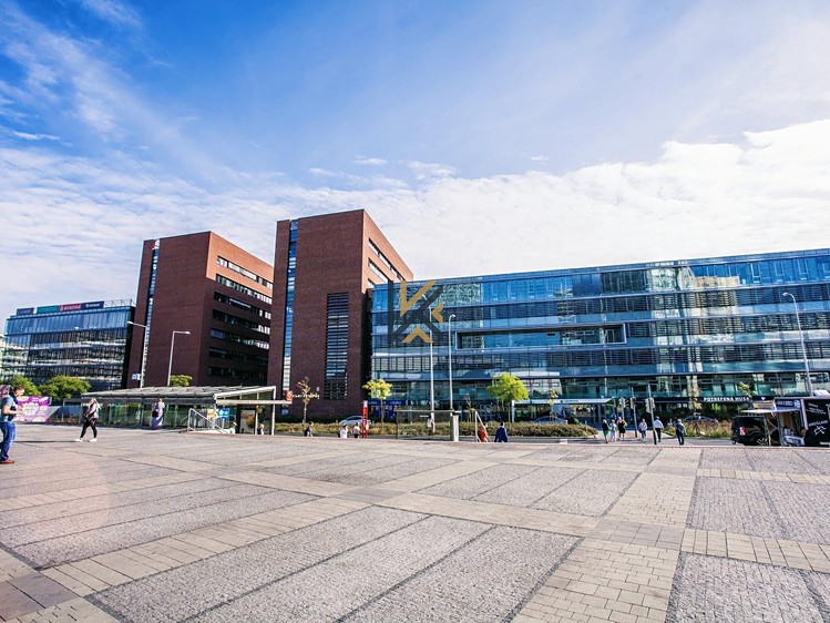 Gewerbefläche zur Miete, 1.548 m² (11 von 11)