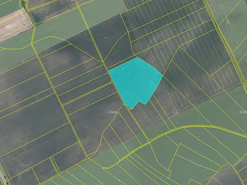 Prodej pole 49227 m², Blížkovice – náhled fotky 3