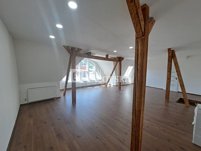 Gewerbefläche zur Miete, 250 m² (2 von 29)