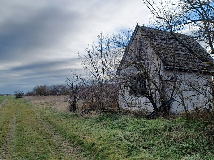 Ostatní