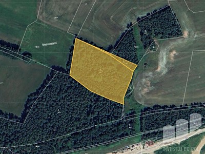 Prodej podílu 1/6  lesa 2 340 m²