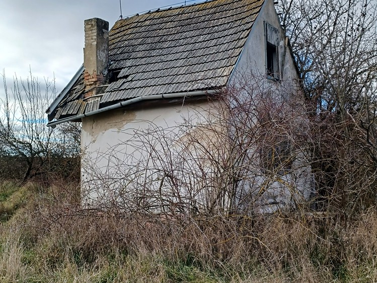 Ostatní