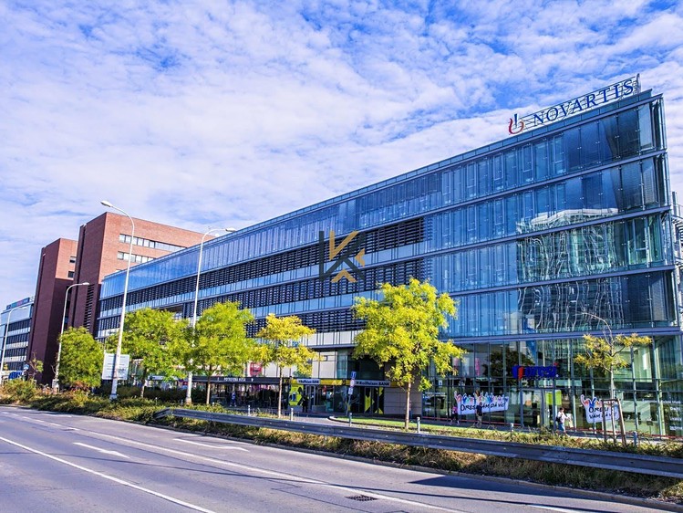 Gewerbefläche zur Miete, 1.548 m² (9 von 11)