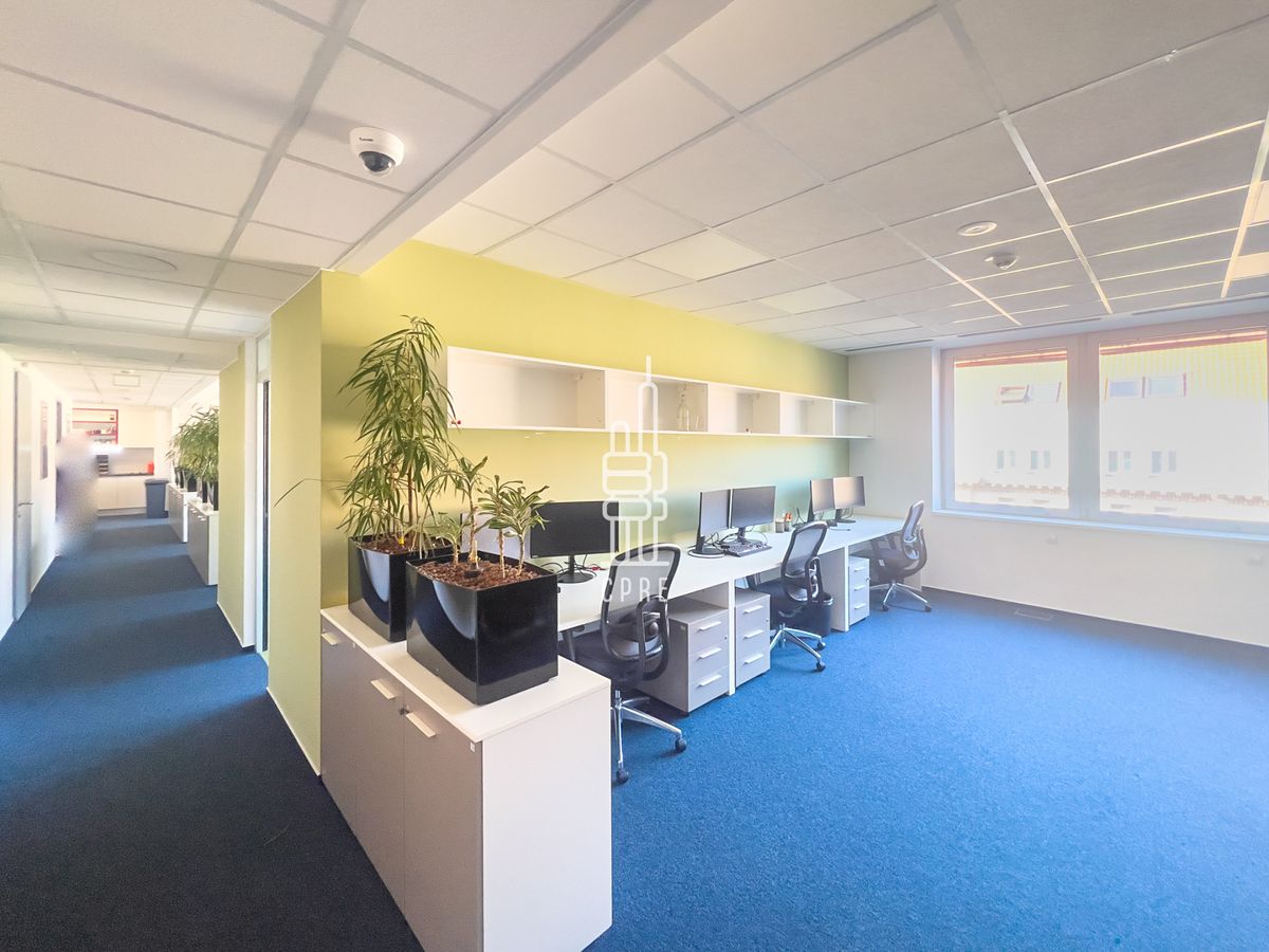 Pronájem kanceláře 375 m² – fotografie 2